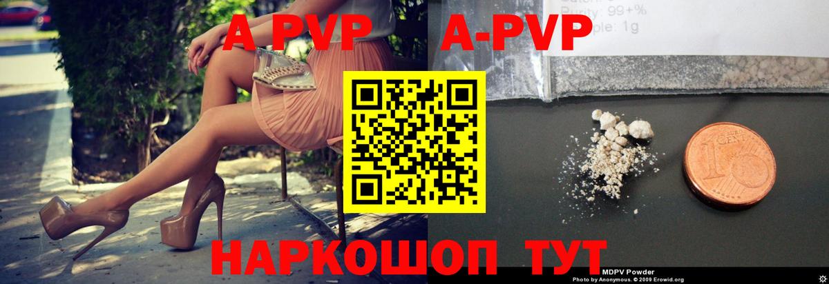 A PVP крисы CK Шали