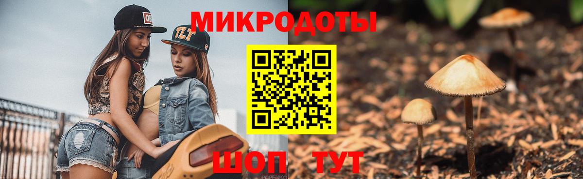Псилоцибиновые грибы мухоморы Шали